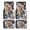 Rocket, variant on 4-Piece Car Floor Mats Set, Rocket Crystal Velvet Automotive Front & Rear Floor Liners, Universal Fit for Car, Truck, SUV