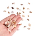 thumbnail image 3 of 1 Caja de Naturales Variadas de Decoración SM SunniMix Conchas de caracol natural, 3 of 8