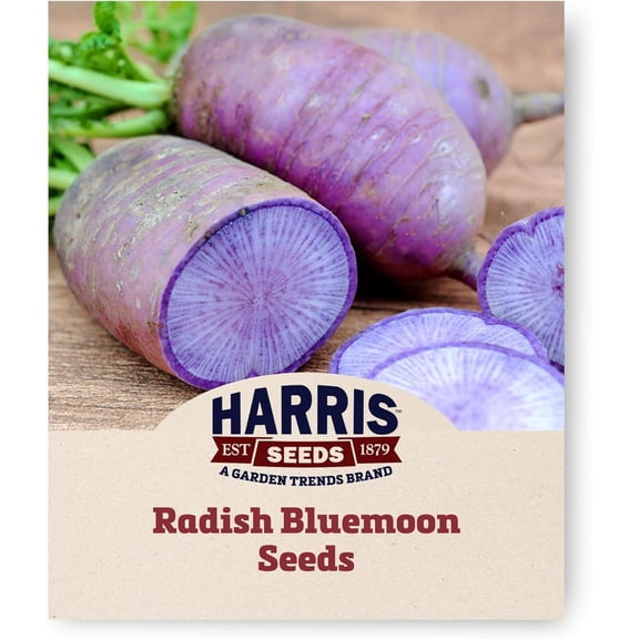 Harris Seeds - Radish Seeds Bluemoon Variety Lavender Blue Color - 250 Seeds
