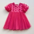 thumbnail image 3 of Hiijoy Little Girls Short Sleeve Tutu Dress Birthday Party Tulle Dress, Sizes 6M-6Y, 3 of 3