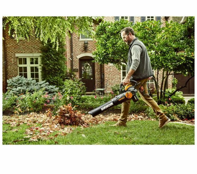Wg524 worx 2024