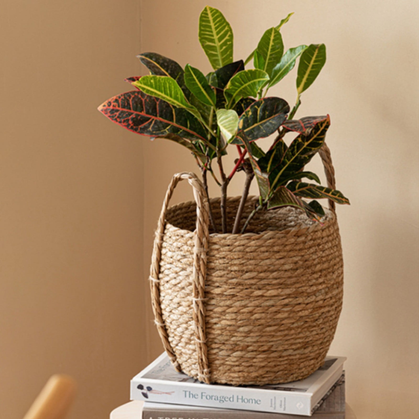 witspace Seagrass Plant Basket, Wicker Woven Laundry Basket, Basket Planter for Plants Indoor, Large Wicker Plant Baskets, Seagrass Baskets for Plants (11.8x10.2 Inch)