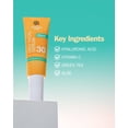 thumbnail image 3 of Australian Gold General Protection Facial Serum, Fragrance Free, Hypoallergenic, SPF 30, 1.7 fl oz, 3 of 4