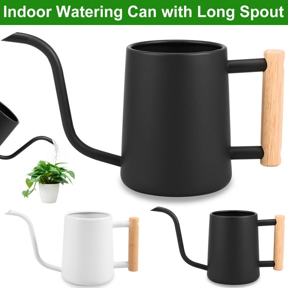 Lieonvis Watering Can for Indoor Plants,35 oz/1000 ml Metal Stainless Steel Pot with Long Spout for House Plants Bonsai Outdoor Garden Flower Decorative