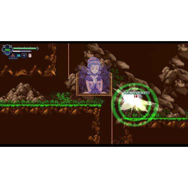 Chronicles of the Wolf, Nintendo Switch - Walmart.com