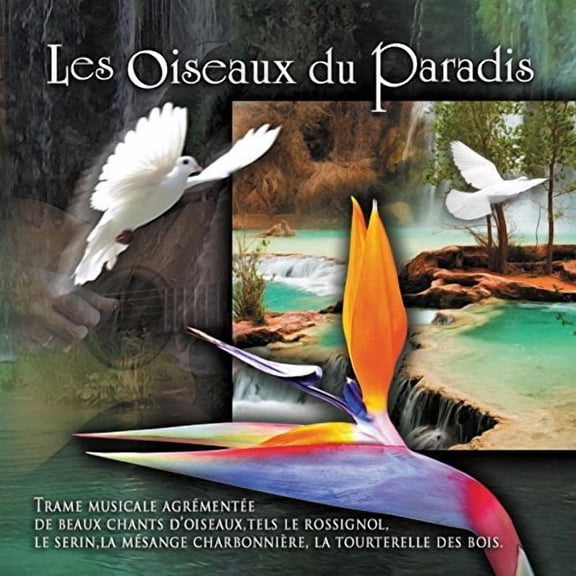 Various Artists - Les Oiseaux Du Paradis / Various - Music & Performance - CD