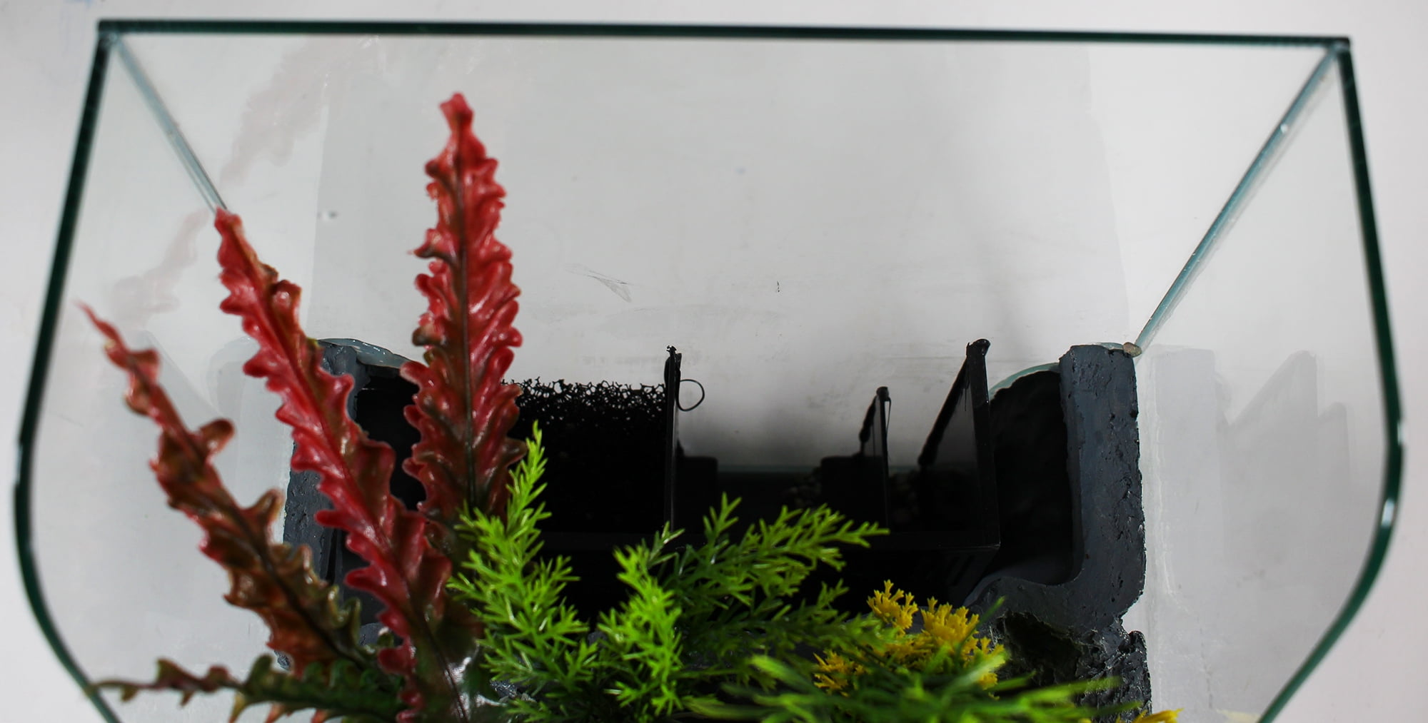 Penn-Plax Aquaterrium Tank - Hydroponic Glass Aquarium for Live Plants and Fish - 1.85 Gallons