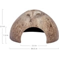 thumbnail image 2 of 2 Pack Natural Coconut Reptile Hideouts, Lizard, Spider and Aquarium Fish Hide Cave (Smooth Surface), 2 of 7