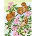 thumbnail image 1 of Carolines Treasures ASA2136GF Dormice Dormouse Flag Garden Size, 1 of 3