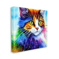 thumbnail image 3 of Stupell Bold Rainbow Cat Face Portrait Animals & Insects Painting Gallery Wrapped Canvas Print Wall Art, 3 of 7