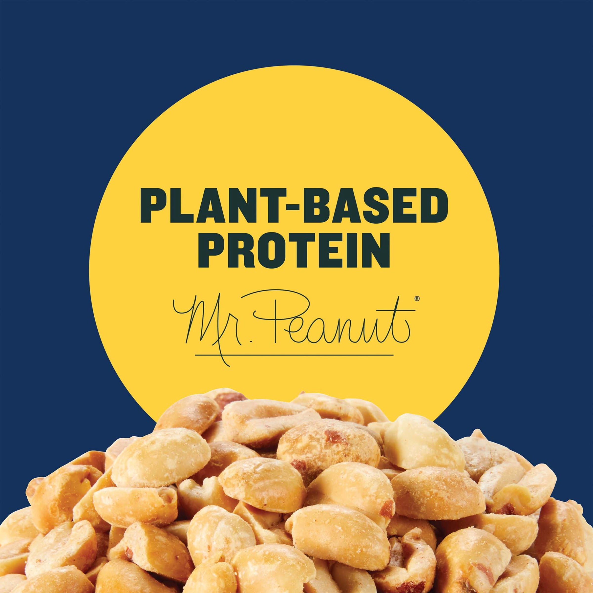 (2 pack) Planters Salted Peanuts, Plant Based Protein, 10-1 oz. Bags