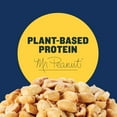 thumbnail image 5 of Planters Salted Peanuts, Plant Based Protein, 10-1 oz. Bags, 5 of 8