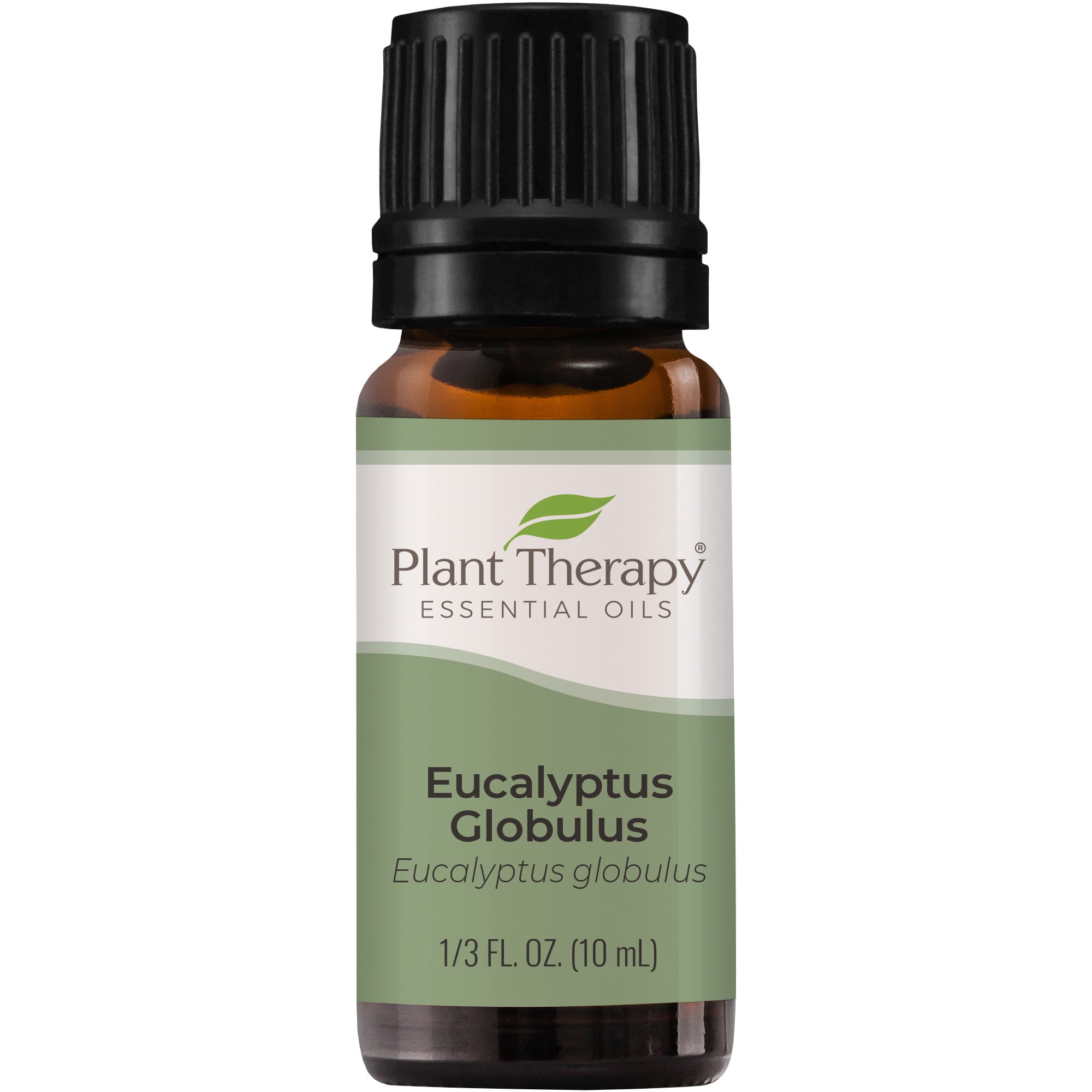 Plant Therapy Eucalyptus Globulus Essential Oil 10 mL (1/3 oz) 100% Pure, Undiluted