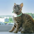thumbnail image 3 of Cat laser collar Rechargeable Pet Toy Projector Collar, Rechargeable Cat Laser Toy, Adjustable Flashing Collar for Cats, 9-13.4 inch Pet Exercise Collar Mint Green, 3 of 5