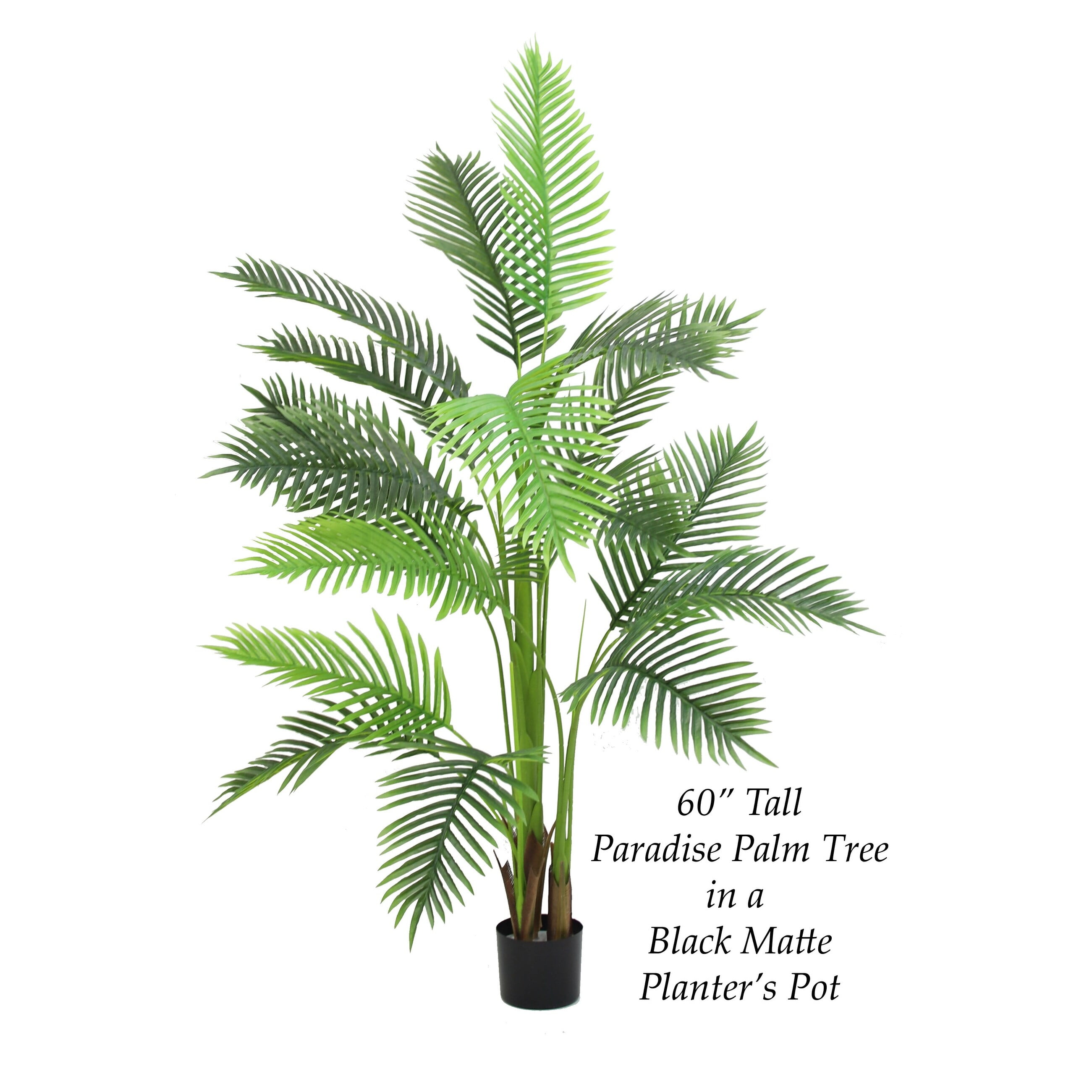 The Mod Greenhouse 84" Artificial Paradise Palm Tree in Black Matte Planter's Pot