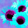 thumbnail image 2 of Lavoie, Tina 12x12 Black Ornate Wood Framed with Double Matting Museum Art Print Titled - Psychedelic Sunflowers, 2 of 4