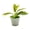 4, variant on JUANCHENG Artificial Hanging Potted Plants Fake Green Leaves Decor for Home Office Hotel