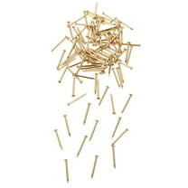 Pretyzoom 200pcs Mini Round Head Furniture Nails Brass For Woodworking Tools