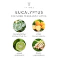thumbnail image 3 of Perfume de eucalipto Cologne Thymes, 50 ml, para hombre y mujer, 3 of 8