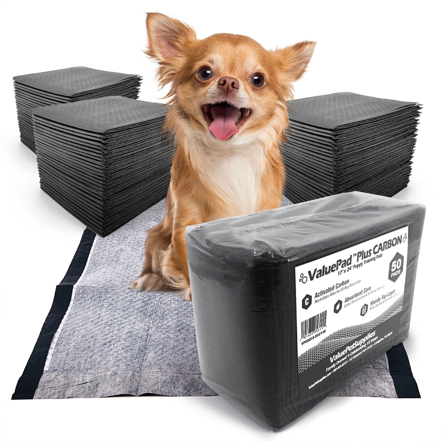 dog pee at home