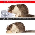 thumbnail image 3 of Cuenco Doble para Gatos, Cuenco para Gatos, Cuenco para Gatos Doble Elevado Inclinable 15°, Comedero para Mascotas para Gatos y Perros pequeños 1 Cuenco para Gatos Blanco + 1 Transparente, 3 of 5
