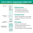 thumbnail image 6 of Easy@Home Marijuana Single Panel Drug Test, 12 Pack, 6 of 11