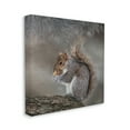 thumbnail image 3 of Stupell Woodland Wildlife Squirrel Photography Animals & Insects Photography Gallery Wrapped Canvas Print Wall Art, 3 of 7