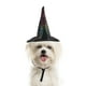 thumbnail image 2 of Sombrero De Bruja Para Mascotas De Halloween Transformado En Sombrero Para Gatos Disfraces Navideños Sombrero De Bruja Con Adornos, 2 of 4
