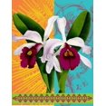 thumbnail image 2 of Robertson, Walter  26x32 Black Ornate Wood Framed with Double Matting Museum Art Print Titled - Star Burst Orchid, 2 of 4