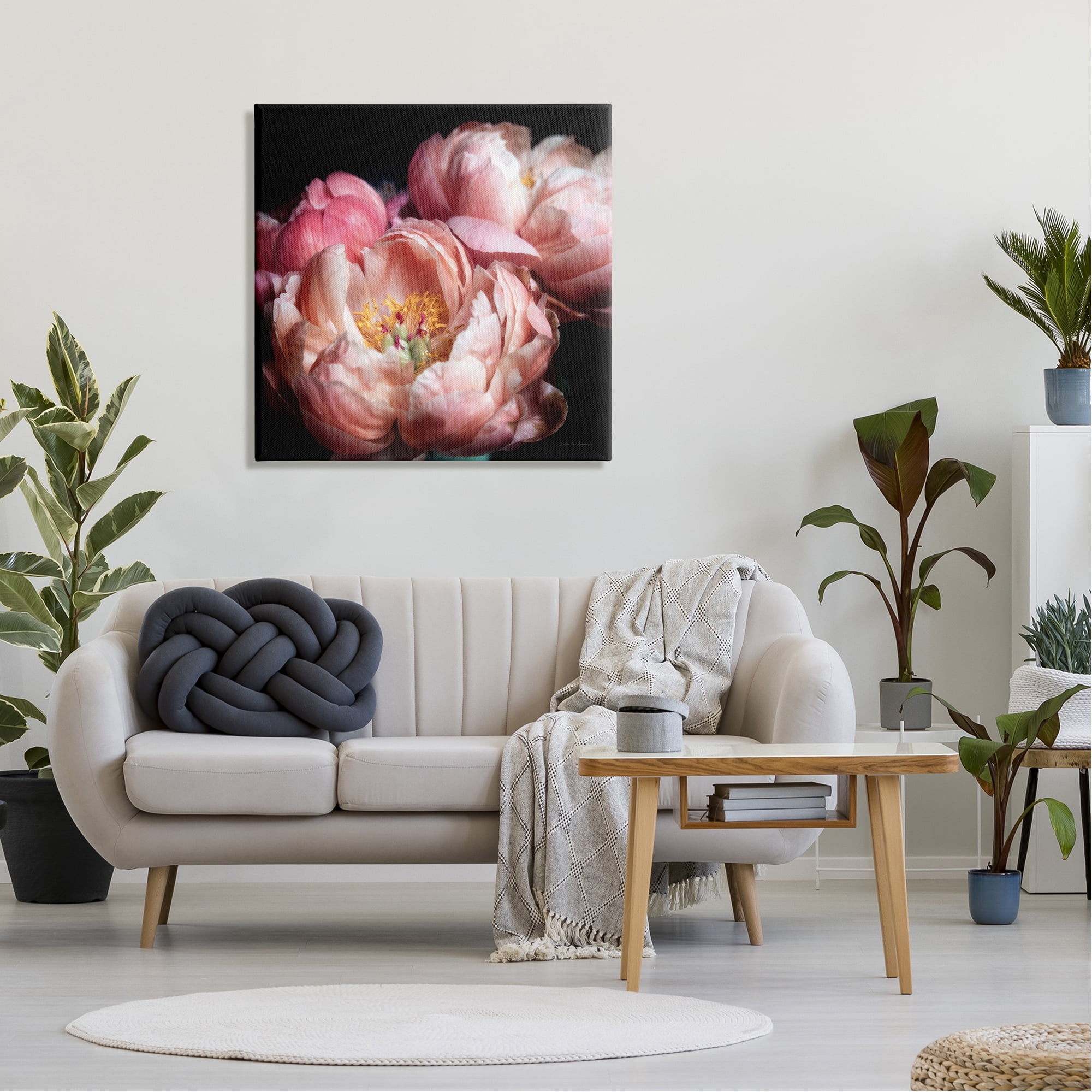 Stupell Industries Blooming Peony Photography Botanical & Floral Photography Gallery Wrapped Canvas Art Print Wall Art, 30 x 30