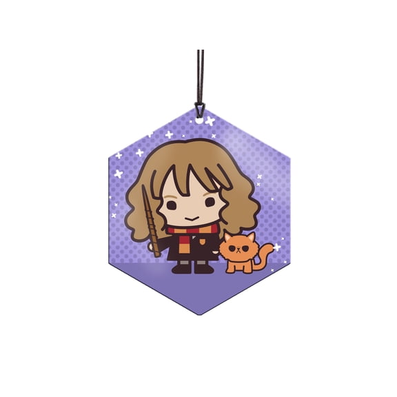 Harry Potter (Hermione Granger and Crookshanks - Chibi Cartoon) Hanging Metal Print AMHEX095