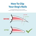 thumbnail image 7 of Flexzion Dog Cat Nail Clipper and Trimmer, Pet Toe Claw Scissor Grooming Tool with Stainless Steel Blades File Easy Grip Handle Safety Guard Avoid Overcutting for Small Medium Large Breed Puppy, Pink, 7 of 7