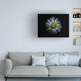 thumbnail image 3 of Brian Carson 'Backyard Flowers 31 Color Version' Canvas Art, 3 of 3