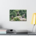 thumbnail image 3 of Vulture Group Vulture Troop Print Animal Wall Art Wildlife Canvas Prints Wall Art Ready to Hang Unframed, 3 of 18