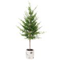 thumbnail image 2 of Artificial Cedar Christmas Tree in Birch Pot - 38" - Unlit, 2 of 5
