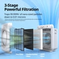 thumbnail image 4 of COWAY Mighty AP-1512HH Air Purifier for Home Up to 1,748ft², HEPA Filter for Smoke, Allergies, Pet Dander, Odor, Air Quality Monitor, Auto&Eco Mode, Timer, Filter Indicator, 3yr Warranty White, 4 of 10