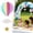 C, variant on Large Size Hot Air Balloon 3D Paper Garland – 7.5 Inch Balloon with Clouds & Stars, 22 Inch Long Hanging Decor for Wedding, Baby Shower, Birthday Party 1PCS