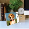Willow Creek Press, Beagles Just 2025 Desk Calendar