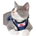 thumbnail image 2 of LAICAIW Dog Harness and Leash Set, No Pull Reflective Adjustable Pet Soft Mesh Chest Vest Harnesses Easy Control for Small Medium Dogs and Cats Outdoor Walking, 2 of 7