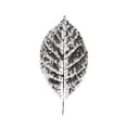 thumbnail image 3 of Gango Home Decor Contemporary Harvest Sentiments I & V BW by Moira Hershey (Ready to Hang); Two 16x20in Hand-Stretched Canvases, 3 of 5