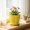 Yellow, variant on Gaecuw Blue Plastic Flower Shaped BOTANICALer with Saucer, Petal Design Decorative Pot for INDOOR GREENERYs, Lightweight Indoor Outdoor Container