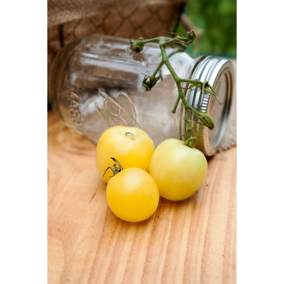 Super Snow White Heirloom Tomato Premium Seeds Packet