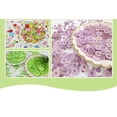 thumbnail image 1 of Juguetes divertidos con botones, juguete para enhebrar, aprendizaje de idiomas preescolar, juguetes educativos para ni?os de 3 a?os más regalos de aprendizaje LingWen 8390615914475, 1 of 1