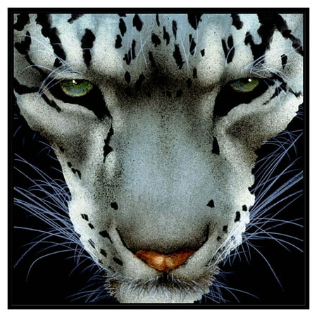 Ptm Images Snow Leopard Framed Canvas Wall Art Com