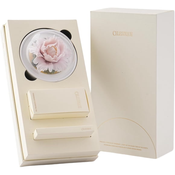 Céleste Diffuseur d'Huiles Essentielles en Céramique Sans Puissance Diffuseur de Parfum pour Maison pour Huiles Essentielles Parfumées Aromathérapie pour Salon Ou Chambre Cadeaux d'Anniversaire pour Ami