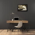 thumbnail image 4 of Hausenflock, Alan 24x17 Black Modern Framed Museum Art Print Titled - Stately Magnolias I, 4 of 5