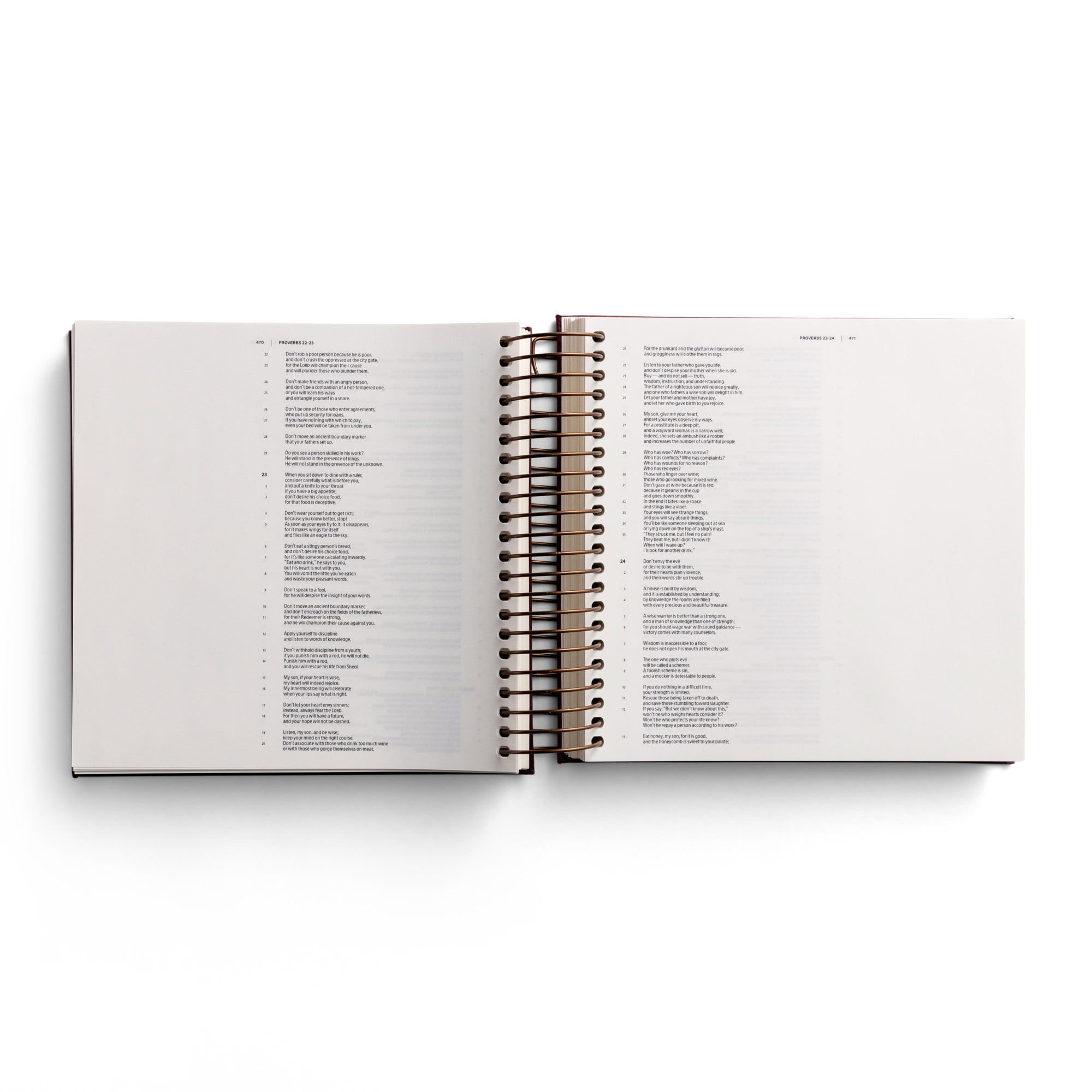 Illustrating Bible CSB - Spiral Bound Bible Journal, Cranberry, (Spiral-Bound)