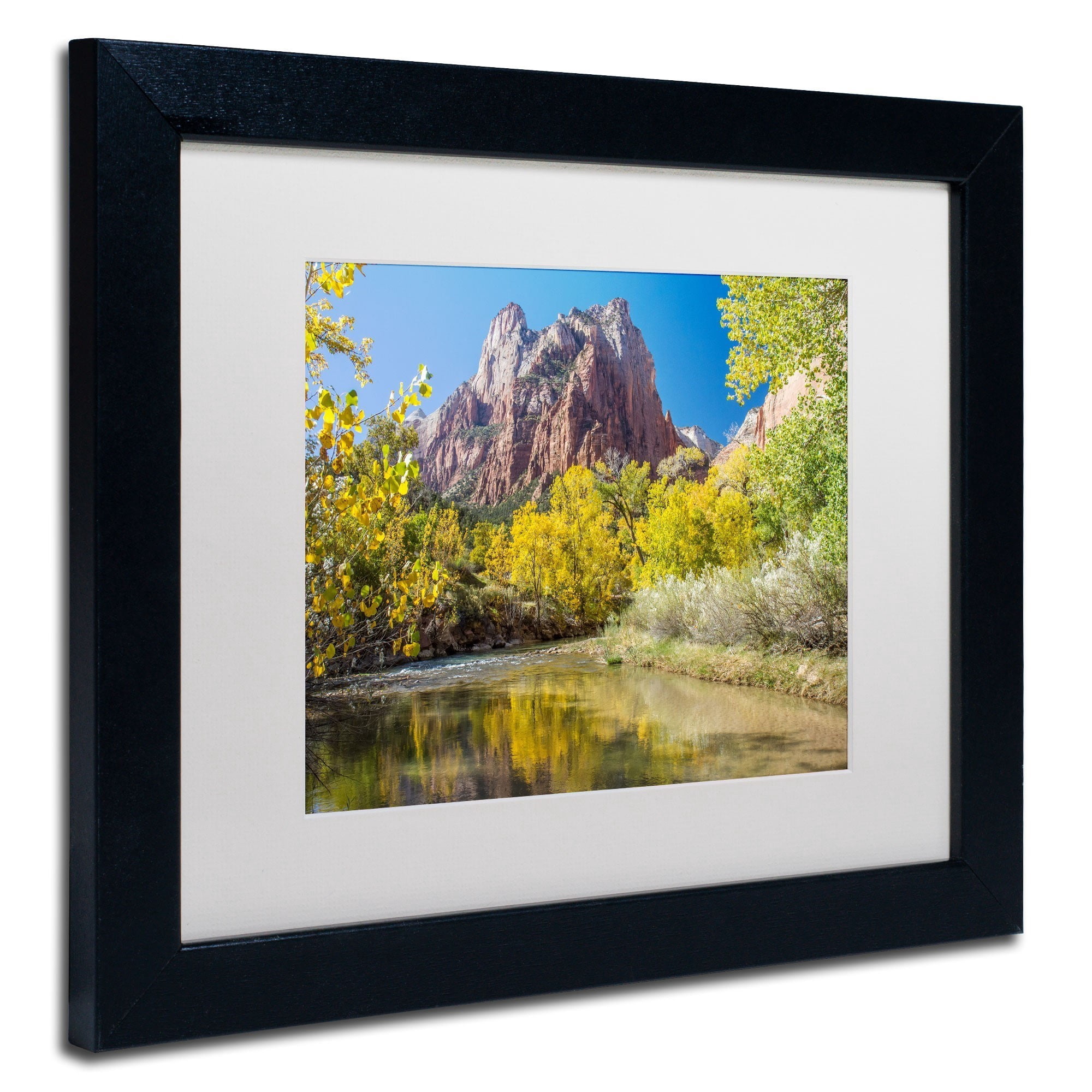 Trademark Fine Art "Zion Autumn" Canvas Art by Pierre Leclerc, White Matte/Black Frame
