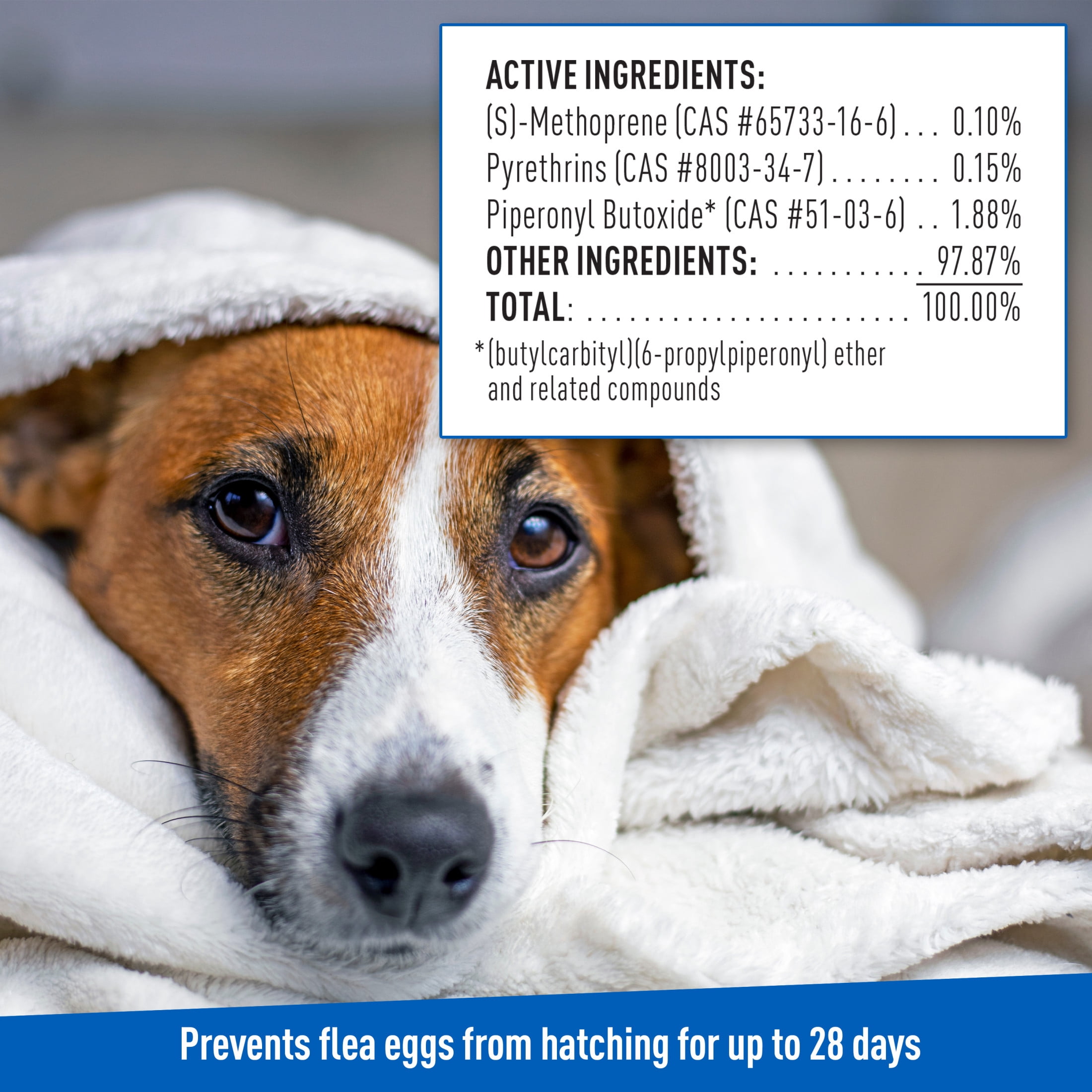 ADAMS Plus Flea & Tick Shampoo with Precor for Dogs & Puppies, Flea Shampoo to Treat Flea Infestations, Kills Ticks, Fleas, Flea Eggs & Lice, Cleans and Conditions Coat, 24 fl oz