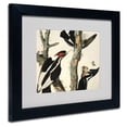 thumbnail image 3 of Trademark Fine Art "Ivory-Billed Woodpecker" Canvas Art by John James Audubon, Black Frame, 3 of 5